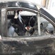 3VWFE21C03M413518 2003 Volkswagen New Beetle Turbo S auction photo thumbnail 5