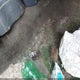 4TANL42N3XZ510048 1999 Toyota Tacoma auction photo thumbnail 12