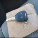 1B3HB48A29D112470 2009 Dodge Caliber Sxt auction photo thumbnail 11
