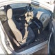 2HGFG12808H513658 2008 Honda Civic Ex auction photo thumbnail 5