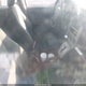 1B3HB28B08D645851 2008 Dodge Caliber Se auction photo thumbnail 5