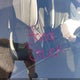 KNAG64J79S5330951 2025 Kia K5 Gt-Line auction photo thumbnail 10