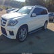 4JGDF7DE0DA136025 2013 Mercedes-Benz Gl 550 4Matic auction photo thumbnail 2