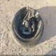3GCPCREC6JG529429 2018 Chevrolet Silverado 1500 1Lt auction photo thumbnail 12