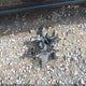 1C4RJFBG6KC579420 2019 Jeep Grand Cherokee Limited 4X4 auction photo thumbnail 12