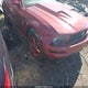 1ZVFT80N175364482 2007 Ford Mustang V6 Deluxe/V6 Premium auction photo thumbnail 12