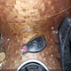 4JGBB86EX7A211906 2007 Mercedes-Benz Ml 350 4Matic auction photo thumbnail 11