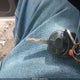 1FMCU9GXXEUB42277 2014 Ford Escape Se auction photo thumbnail 11