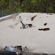 1SABS0BT9G2835100 2016 Starcraft Autumn Ridge auction photo thumbnail 12