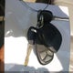 3GNEC120X7G312274 2007 Chevrolet Avalanche 1500 Lt auction photo thumbnail 11