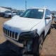 1C4PJMDX4MD177594 2021 Jeep Cherokee Limited 4X4 auction photo thumbnail 2