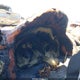 3FAHP07Z69R163046 2009 Ford Fusion Se auction photo thumbnail 7