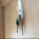 1EA1F272X52488720 2005 Fleetwood Terry auction photo thumbnail 11