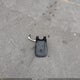 5XYKT4A23BG069107 2011 Kia Sorento Lx V6 auction photo thumbnail 12