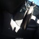 5N1AT2MT6GC855642 2016 Nissan Rogue Sv auction photo thumbnail 11