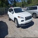 1C4PJLDB8GW127157 2016 Jeep Cherokee Limited auction photo thumbnail 1