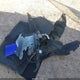 JF2GUADC6R8333672 2024 Subaru Crosstrek Premium auction photo thumbnail 11