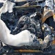 4S4BSENC5F3237413 2015 Subaru Outback 3.6R Limited auction photo thumbnail 10
