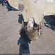 5C2BB38B36M005268 2006 Clement Ind End Dump Trailer auction photo thumbnail 6