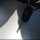 5FNRL5H46DB019386 2013 Honda Odyssey Ex auction photo thumbnail 11