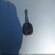 1GNFC13067J381397 2007 Chevrolet Tahoe Lt auction photo thumbnail 11