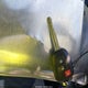 5TFAZ5CN3LX087709 2020 Toyota Tacoma Sr5 V6 auction photo thumbnail 11