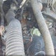 2B7HB23T5HK279146 1987 Dodge Ram Van B250 auction photo thumbnail 13