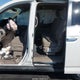 5FNRL5H48EB074424 2014 Honda Odyssey Ex auction photo thumbnail 8
