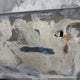 WA1E2AFY1M2045116 2021 Audi Q5 Premium Plus 55 Tfsi E Quattro S Tronic auction photo thumbnail 9