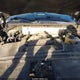 1FMJK1JTXHEA55661 2017 Ford Expedition El Xlt auction photo thumbnail 10