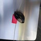 4T4BE46K99R116167 2009 Toyota Camry Le auction photo thumbnail 11