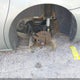 1G4HD57296U204949 2006 Buick Lucerne Cxl auction photo thumbnail 6