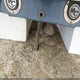 00000MBCA2CM0H809 2009 Mastercraft X1 auction photo thumbnail 10
