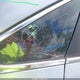5NPE24AA0GH352409 2016 Hyundai Sonata Eco auction photo thumbnail 14