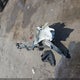 KM8J23A45KU891413 2019 Hyundai Tucson Se auction photo thumbnail 12
