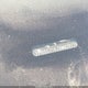 3VWDG71K15M620735 2005 Volkswagen Jetta 2.5 auction photo thumbnail 9