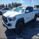 3TMCZ5ANXPM598065 2023 Toyota Tacoma Trd Off Road auction photo thumbnail 2