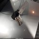 1J4FJ28S8WL169788 1998 Jeep Cherokee Se auction photo thumbnail 11