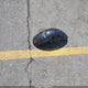 1HFSC18102A600099 2002 Honda Vt1100 C auction photo thumbnail 12