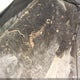 3C4NJDDBXKT807945 2019 Jeep Compass Trailhawk 4X4 auction photo thumbnail 18