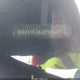 WBAEV53464KM36877 2004 BMW 330I auction photo thumbnail 9