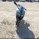 ML5EXEP15SDAG6299 2025 Kawasaki Ex650 P auction photo thumbnail 5