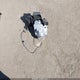 3KPF24AD4PE557248 2023 Kia Forte Lxs auction photo thumbnail 12