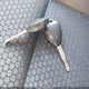 5Y2SR67029Z406796 2009 Pontiac Vibe Gt auction photo thumbnail 11