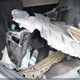 4T1BF1FK4GU212274 2016 Toyota Camry Se auction photo thumbnail 18