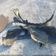 5J6RM3H3XDL035235 2013 Honda Cr-V Lx auction photo thumbnail 12