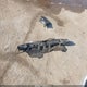 5NPE24AF1HH562885 2017 Hyundai Sonata Se auction photo thumbnail 12