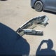 JHMZC5F1XJC006480 2018 Honda Clarity Plug-In Hybrid auction photo thumbnail 12