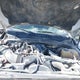 1FT7W2BT8HEE37422 2017 Ford F-250 Xl auction photo thumbnail 9