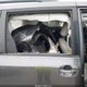 5TDYZ3DC8LS055912 2020 Toyota Sienna Xle auction photo thumbnail 12
